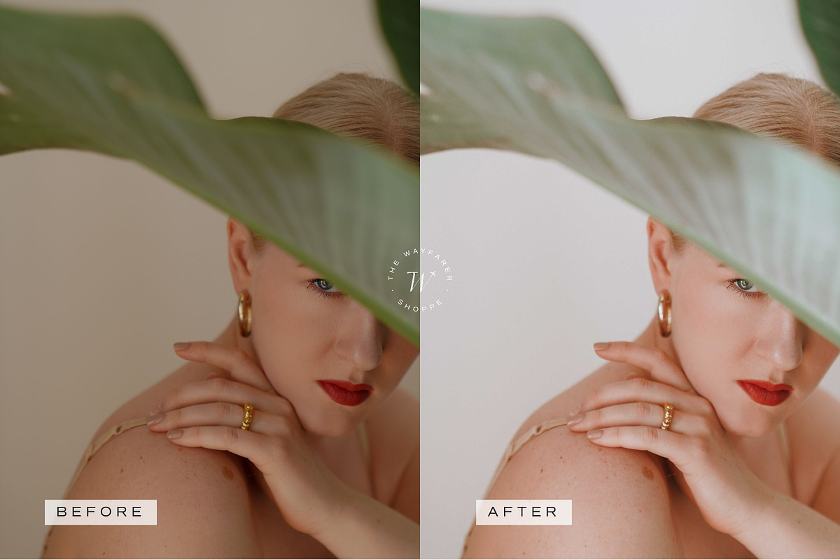Bright LR Presets + Video Filters, a Preset Add-On by TheWayfarerShoppe (Photo 6 of 17)