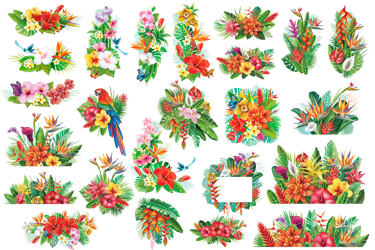 Tropical floral arrangements, a Seasonal Illustration by ViktoriaARTprint (Photo 2 of 8)