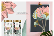 Nelumbo, Luxury Pattern & Motifs, a Pattern Graphic by TSTUDIO (Thumbnail 5 of 9)