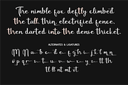 Fonten Modern - Contemporary Script, a Script Font by Indotype Foundry (Thumbnail 7 of 10)