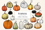 Pumpkins - vector clipart, a Seasonal Illustration by Glass Cat Design (Thumbnail 1 of 10)