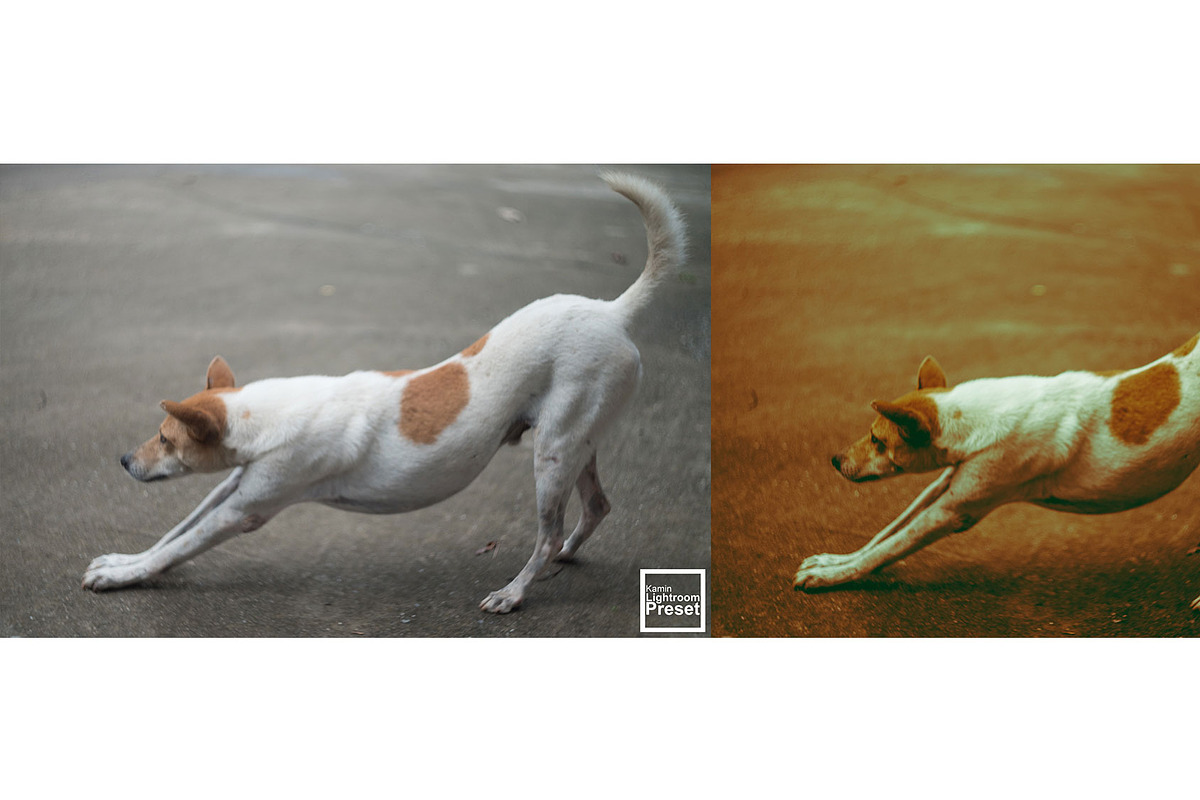 Kamin Film Feeling Roll 2, an Action Add-On by Kamin Lightroom Preset (Photo 10 of 22)