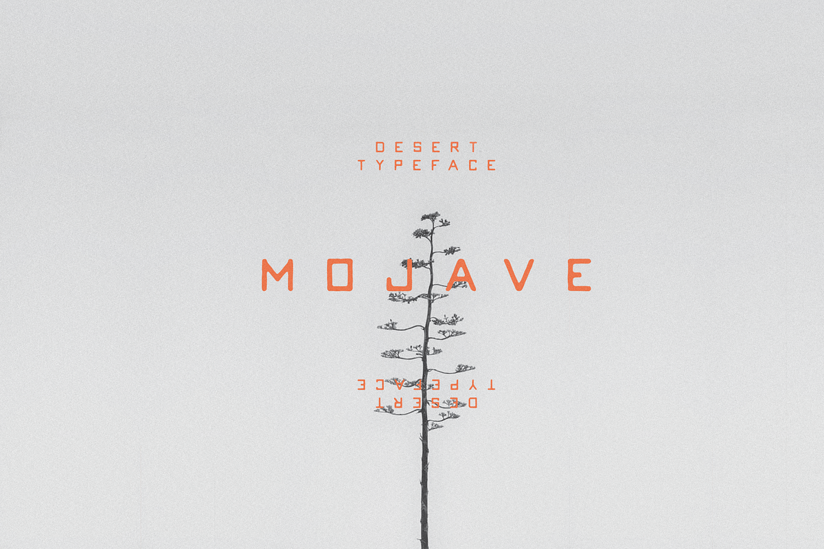 Mojave
