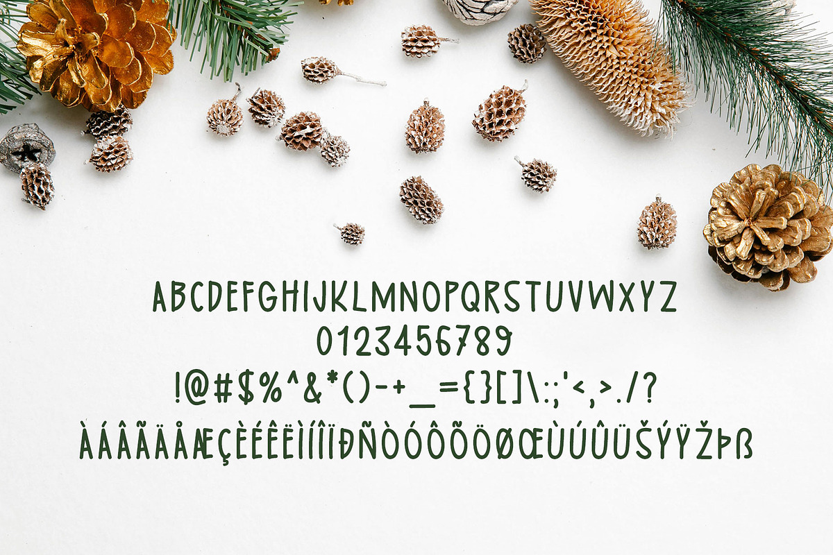Celebrate Holiness Typeface, a Handwritten Font by Seemly Fonts (Photo 5 of 5)