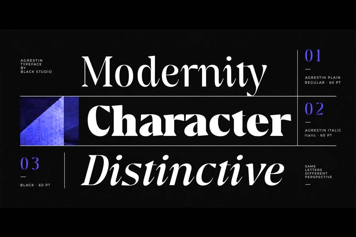 Agrestin, a Serif Font by Black Studio (Photo 2 of 15)