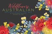 Wildflowers Australian Design Set, an Illustration by Sketchbook Designs (Thumbnail 1 of 11)