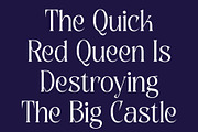 CS Daphne – Contemporary Font, a Serif Font by Craft Supply Co. (Thumbnail 5 of 8)