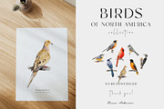 Birds of North America watercolor, an Animal Illustration by Diana Askarova Art (Thumbnail 8 of 9)