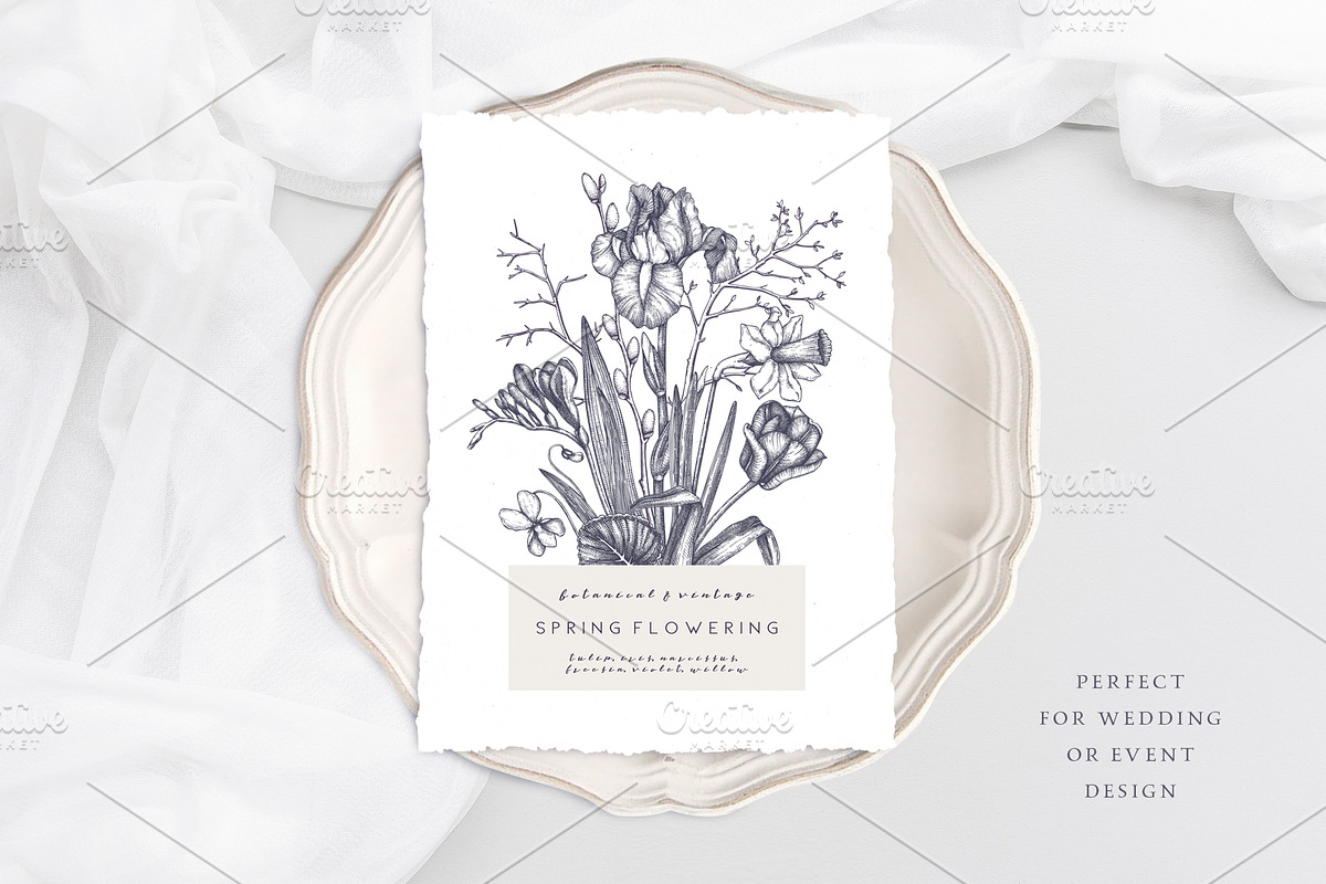 Hand Drawn Spring Flowers Set, a Seasonal Illustration by Yevheniia (Photo 6 of 16)