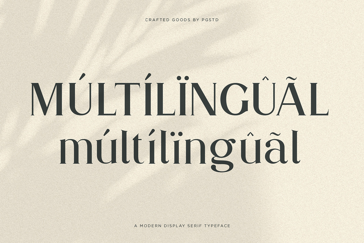 Partake | Modern Serif, a Serif Font by Pentagonistudio (Photo 7 of 10)