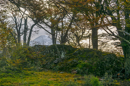 Tierra del fuego park landscape, argentina, a Nature Photo by DanFLCreativo