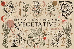 Vegetative Bundle