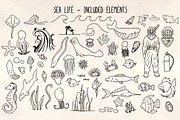 Sea Animals - 60 Ocean Vector Bundle, a Decorative Illustration by Violet LeBeaux (Thumbnail 1 of 3)
