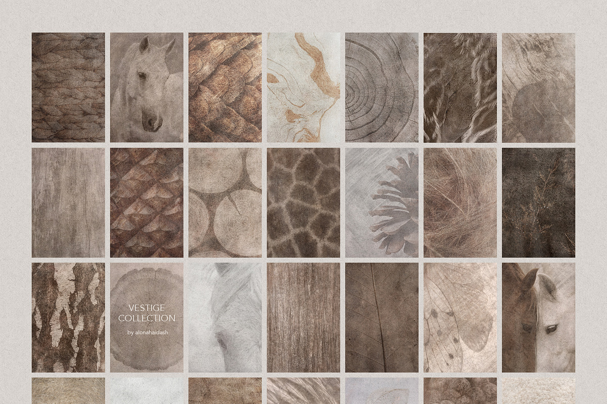 Vestige II · Organic Backgrounds, a Background Graphic by alonahaidash (Photo 8 of 16)