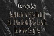 Lights Out Lovely Tall Display Font, a Handwritten Font by The October Creative (Thumbnail 3 of 8)
