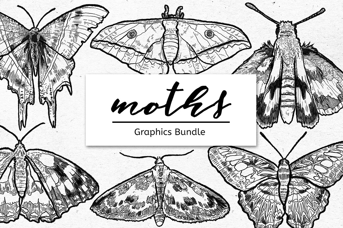Moths Line Art Graphic Bundle, an Illustration by voidea (Photo 1 of 2)