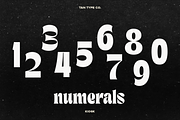 TAN - KIOSK, a Serif Font by TanType (Thumbnail 9 of 16)