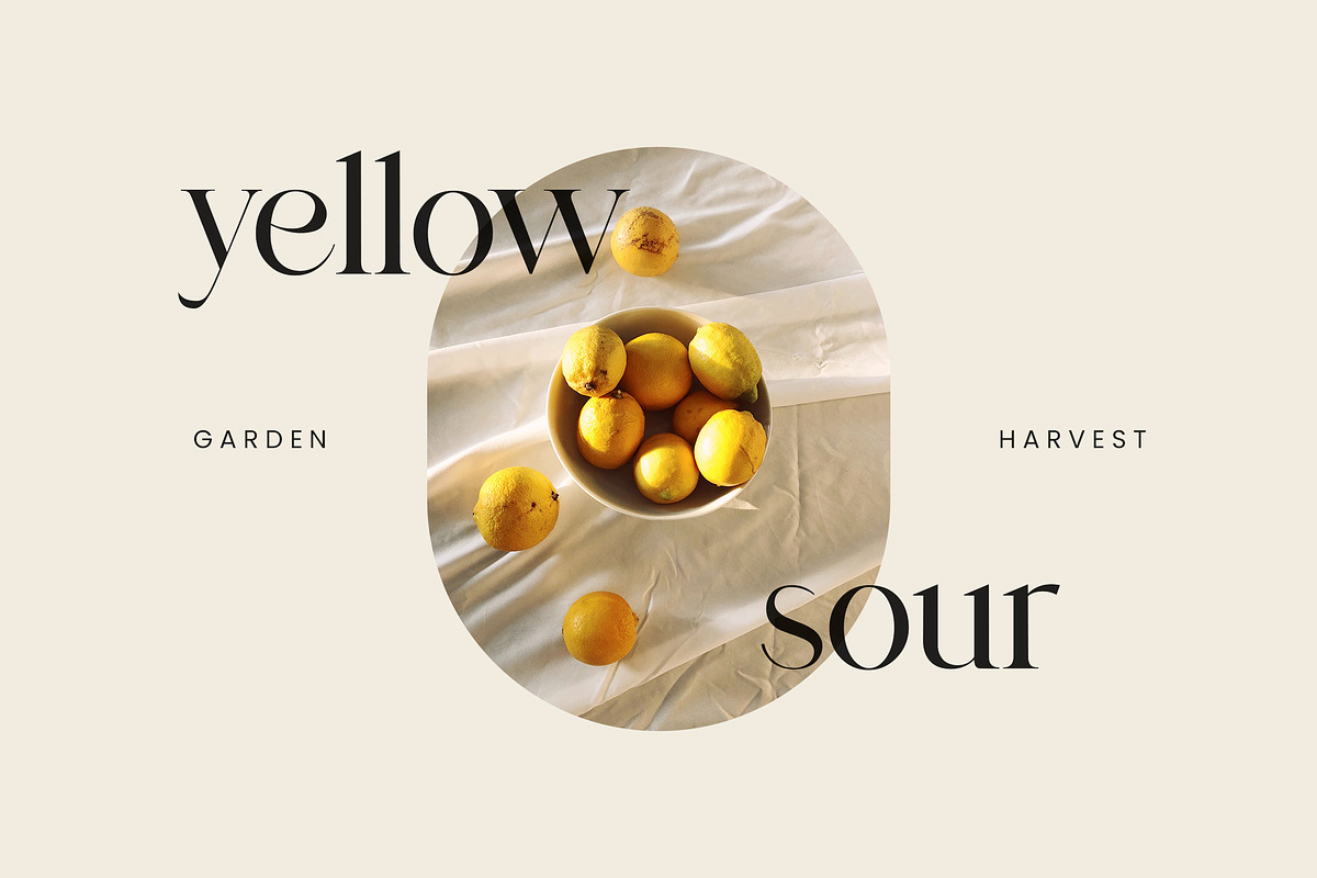 Agathias Stenchy Modern Serif Font, a Serif Font by UICreative (Photo 9 of 9)