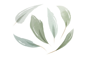 Delicate green leaves hand painted, an Object Illustration by okskukuruza