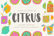 A collection of vibrant citrus, a Food Illustration by lexminci (Thumbnail 1 of 14)