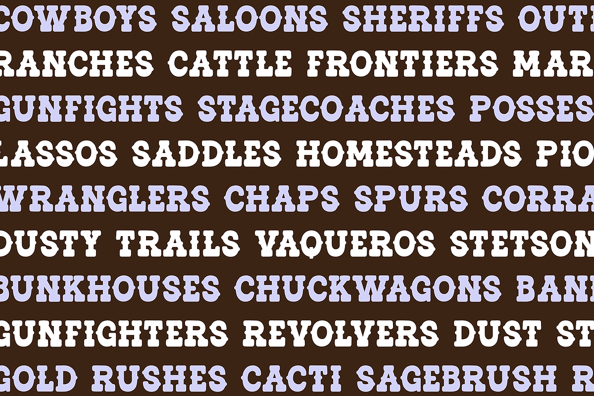 LONGHORN Bold Soft Western Font, a Slab Serif Font by Blush Font Co. (Photo 2 of 6)