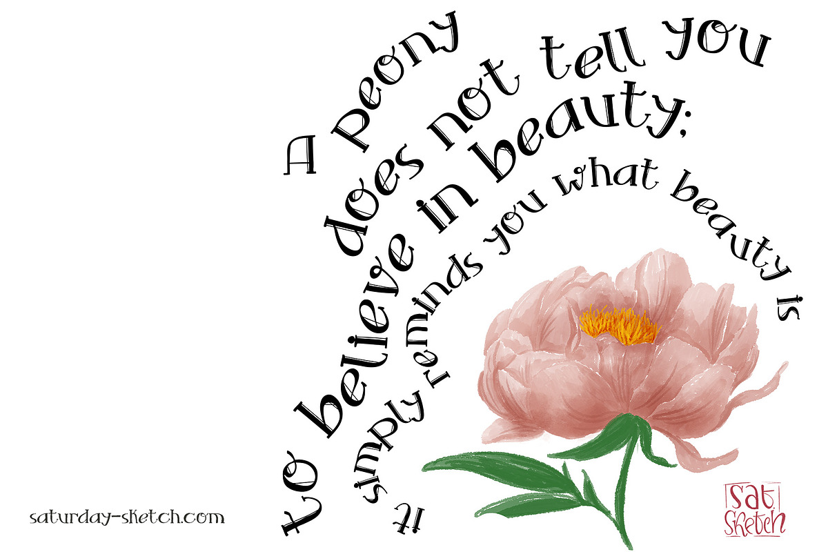 Birdie - handdrawn display font, a Serif Font by saturday.sketch (Photo 5 of 8)