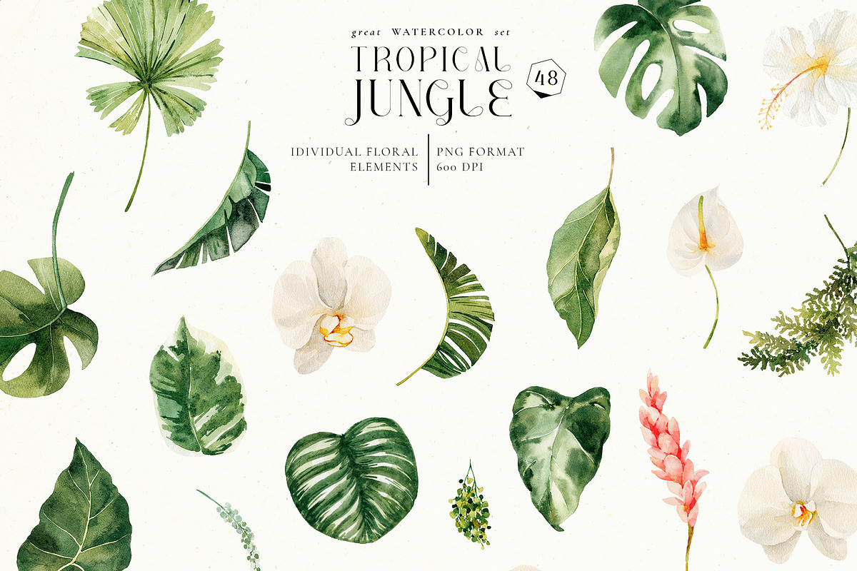 Tropical jungle - watercolor set, a Decorative Illustration by Pamyatka Shop (Photo 27 of 27)