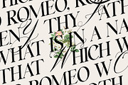 Silver Garden - Nostalgic Font Duo, a Serif Font by SilverStag Type Foundry (Thumbnail 23 of 26)