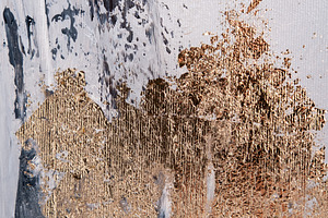 Color texture abstract canvas paint mix strokes, a Background Photo by Photo Drive Studio