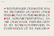 Biarritz Luxury Editorial Serif, a Serif Font by Genilson Santos (Thumbnail 6 of 17)