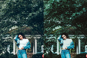 10 Vintage Avocado Lightroom Presets, a Preset Add-On by LucaTheme (Thumbnail 2 of 7)