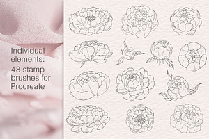 Peony Procreate Stamps, Cliparts