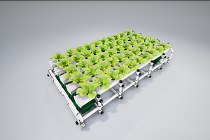 Hydroponics System LR