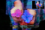 Professional Glass Panels Ps Action, an Action Add-On by ArtPlanet (Thumbnail 11 of 17)