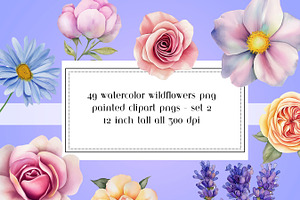 Watercolor Wildflower Clipart Set 2