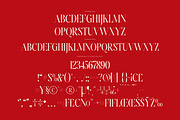 Amodhev Modern Serif Font, a Serif Font by Letterena Studios (Thumbnail 13 of 15)