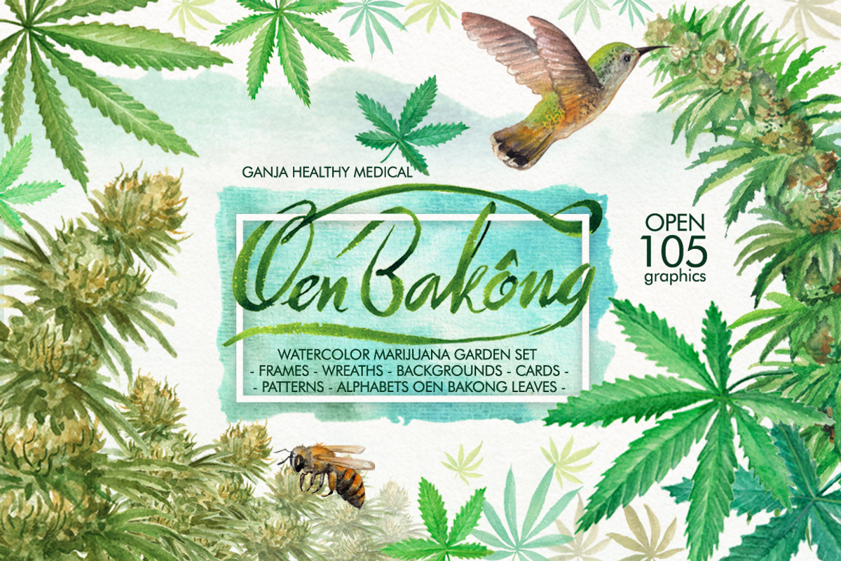Watercolor Marijuana Set, a Healthcare Illustration by Graphobia (Photo 1 of 9)