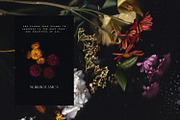 Noir Botanica Scanographs, a Texture Graphic by House of Delfina (Thumbnail 2 of 11)