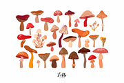 Autumn botanicals collection, a Decorative Illustration by Letto studio (Thumbnail 4 of 7)