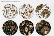 Witchcraft clipart Green witch plant, a Texture Illustration by Belusuab (Thumbnail 12 of 15)