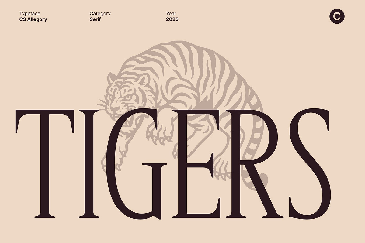 CS Allegory – Elegant Serif Font, a Serif Font by Craft Supply Co. (Photo 2 of 8)