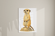 34 Safari Animal Clipart, an Animal Illustration by Pati Charm Studio (Thumbnail 7 of 8)