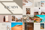 Sans Serif Bundle, a Sans Serif Font by Larin Type Co. (Thumbnail 12 of 12)