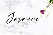 Storytelling - Modern Calligraphy, a Script Font by Motokiwo (Thumbnail 7 of 9)