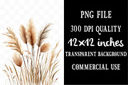 Watercolor Pampas Grass Clipart Png, an Illustration by Designking (Thumbnail 4 of 5)