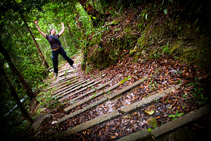 Woman Jungle Hiker, a Person Photo by THP Creative