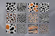 Animalista - patterns collection, a Pattern Graphic by Madiwaso (Thumbnail 8 of 8)