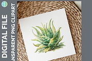 Cactus Succulent Illustration Bundle, an Animal Illustration by Enliven Designs (Thumbnail 7 of 8)
