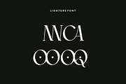 Catgeora - Elegant Serif Font, a Serif Font by QR Design Studio (Thumbnail 6 of 16)