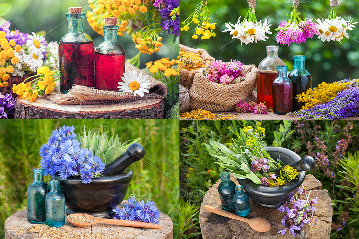Herbal Medicine Bundle, a Health & Medical Photo by chamillewhite (Photo 2 of 6)